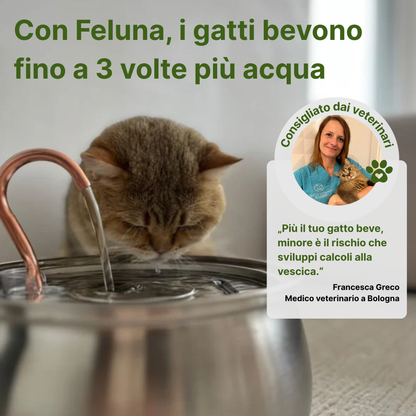 PureFlow Fontana per gatti
