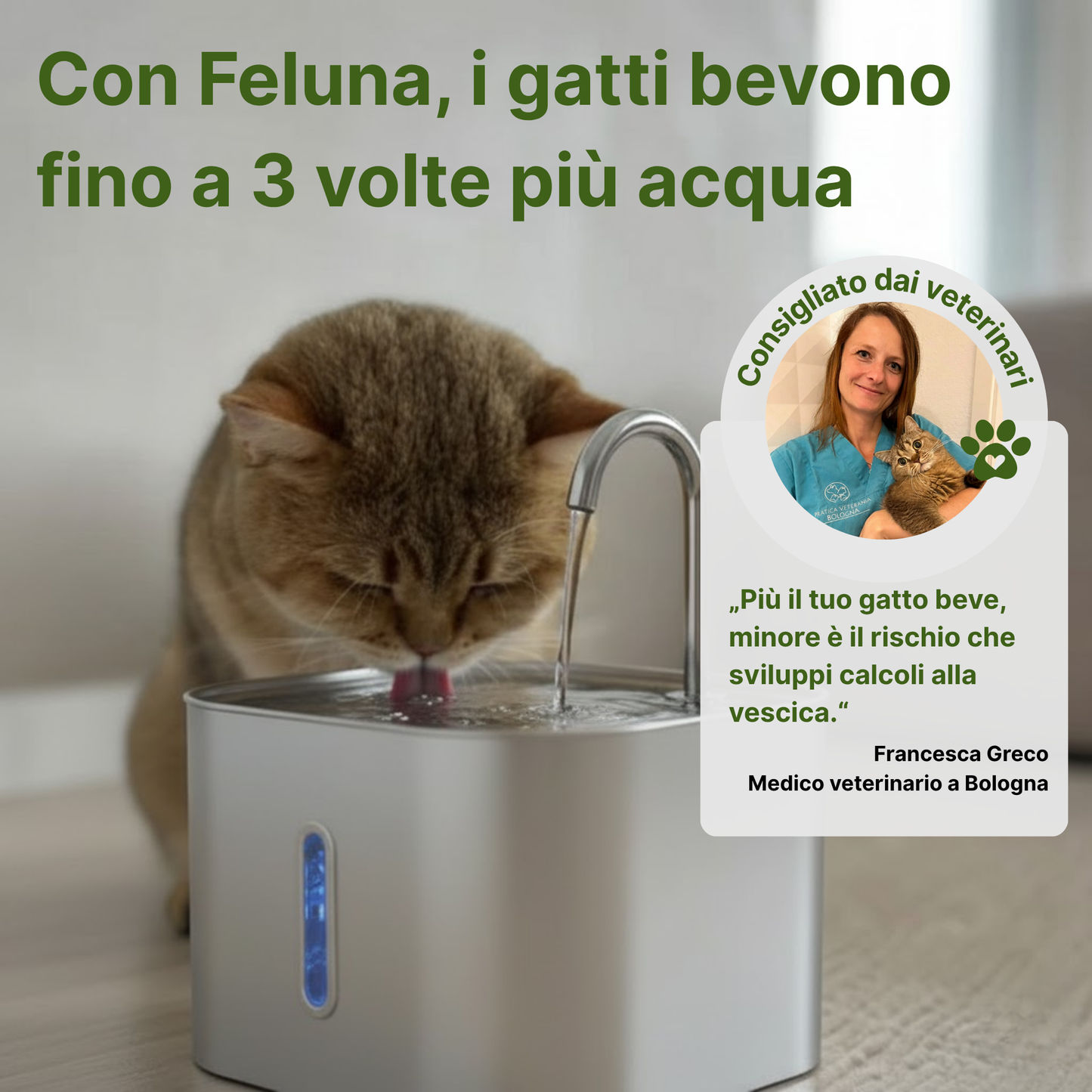 PureFlow Mini Fontana per gatti