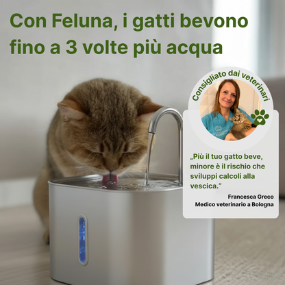 PureFlow Mini Fontana per gatti